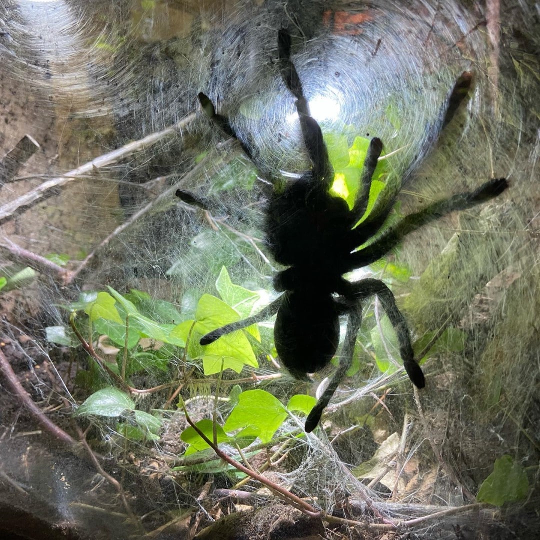 Angebot: 10% Nachlass auf unsere Dienstleistungen